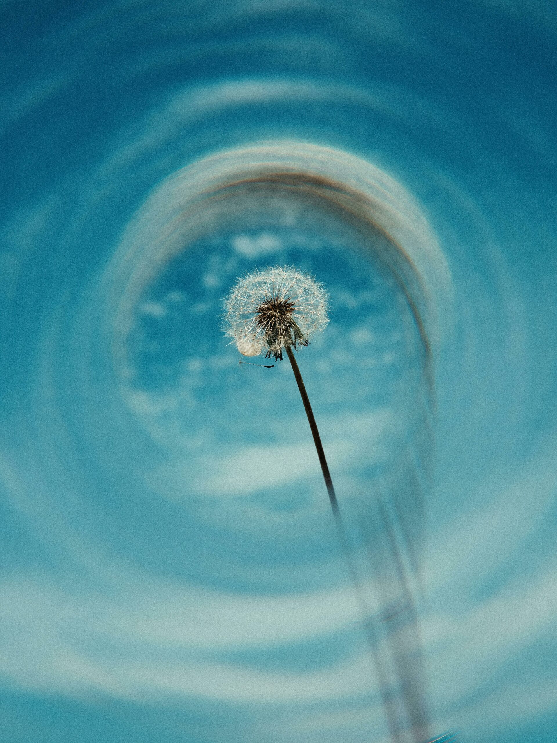 Contact Yoga Teacher in Gorey