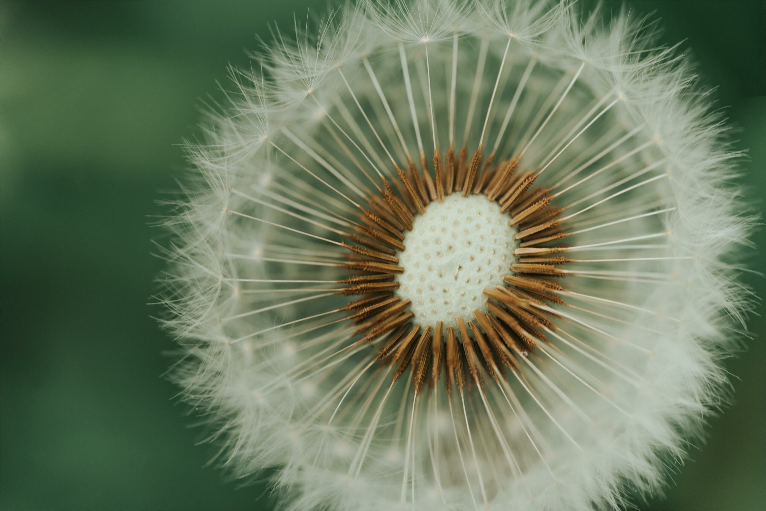 Pauline Keane Yoga 3